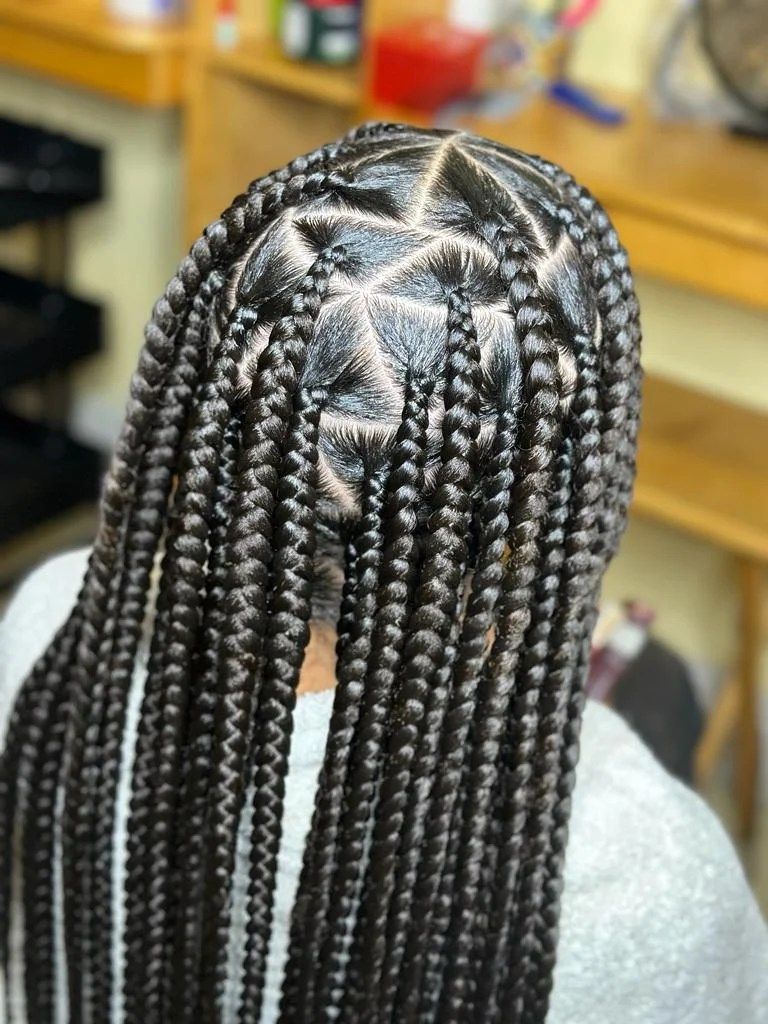 Box Braids Visual Idea — Long Knotless Braids 2027
