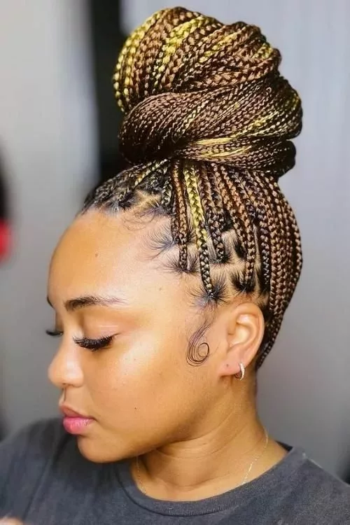 Box Braids Updo With Black and Blonde Box Braids Updo With Black and Blonde — Winter Box Braids 2027