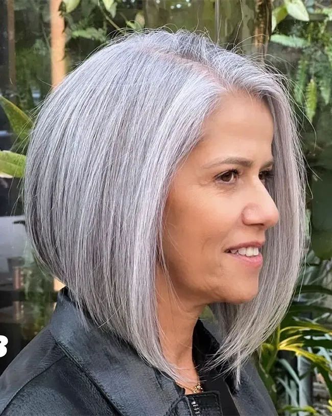 Sleek Chin Length Bob In Silver — Silver Hair 2027