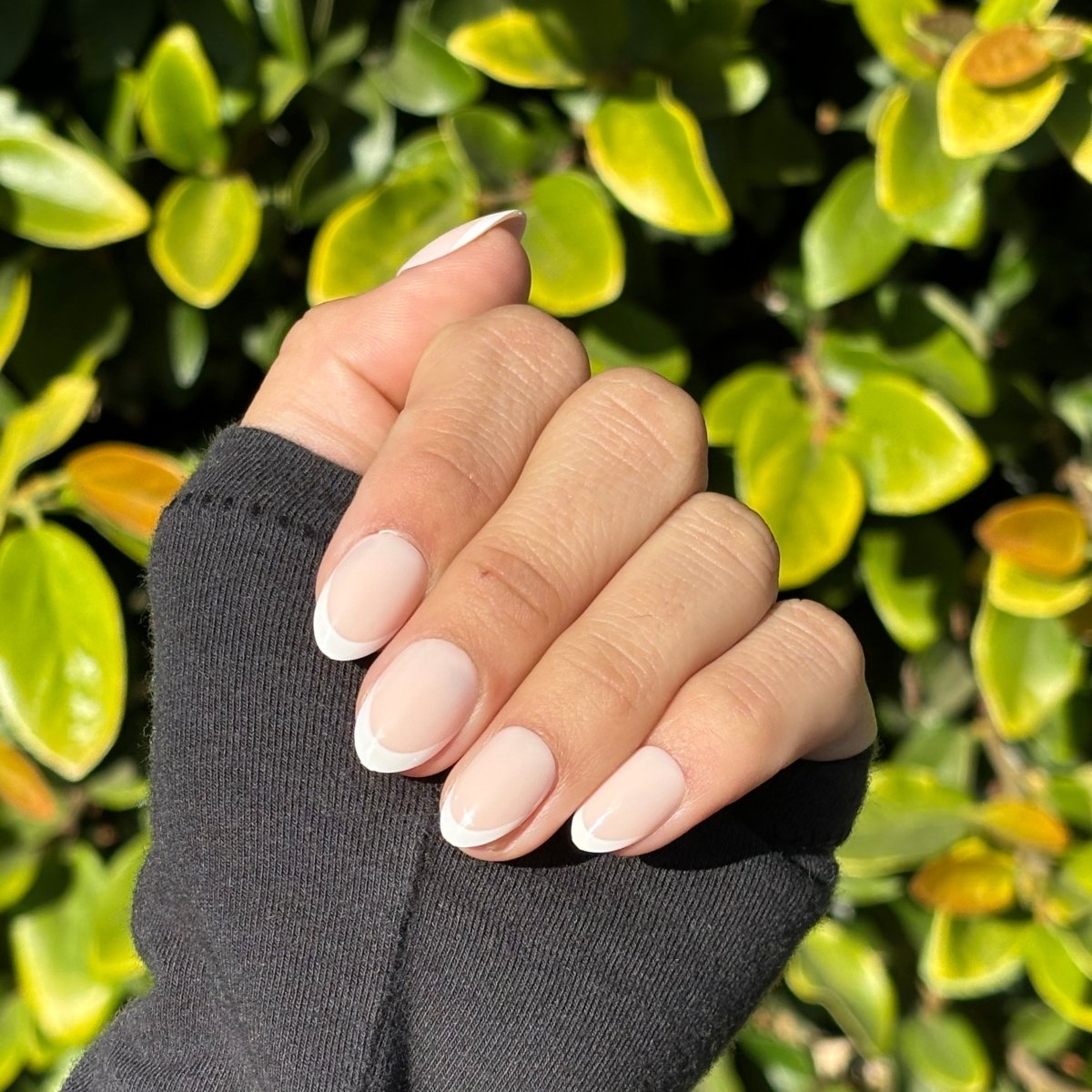 French Tips On All Nails Medium Stiletto Elegant White French French Tips On All Nails Medium Stiletto Elegant White French — White French Tip Nails 2027