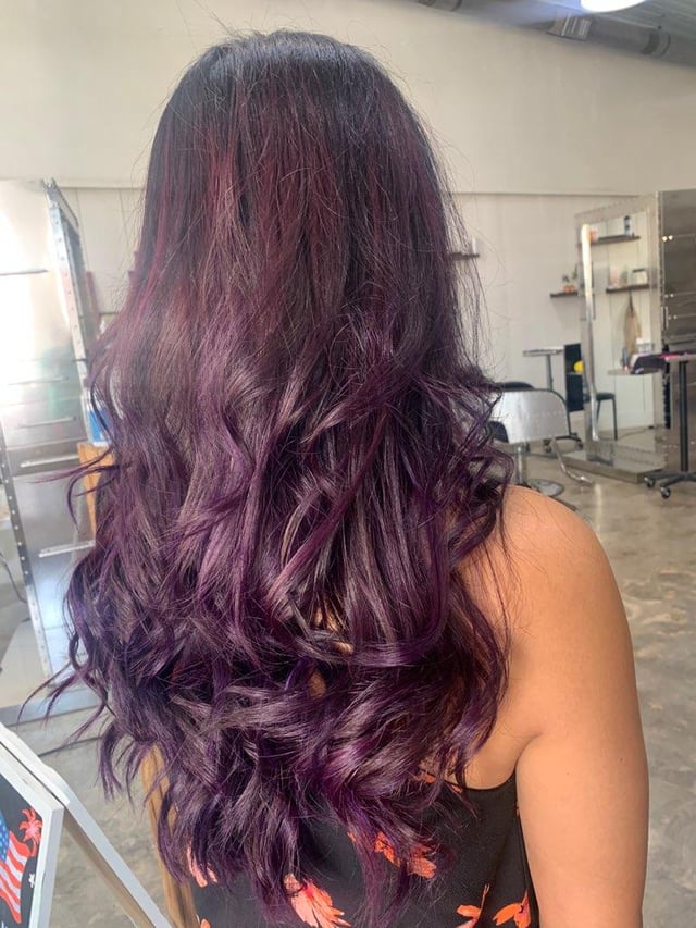 Plum With Purple Highlights Plum With Purple Highlights — Plum Hair 2027