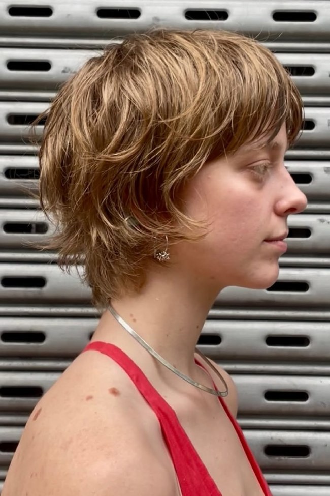 Ash Blonde Shag With Piecey Texture Ash Blonde Shag With Piecey Texture — Short Shag 2027