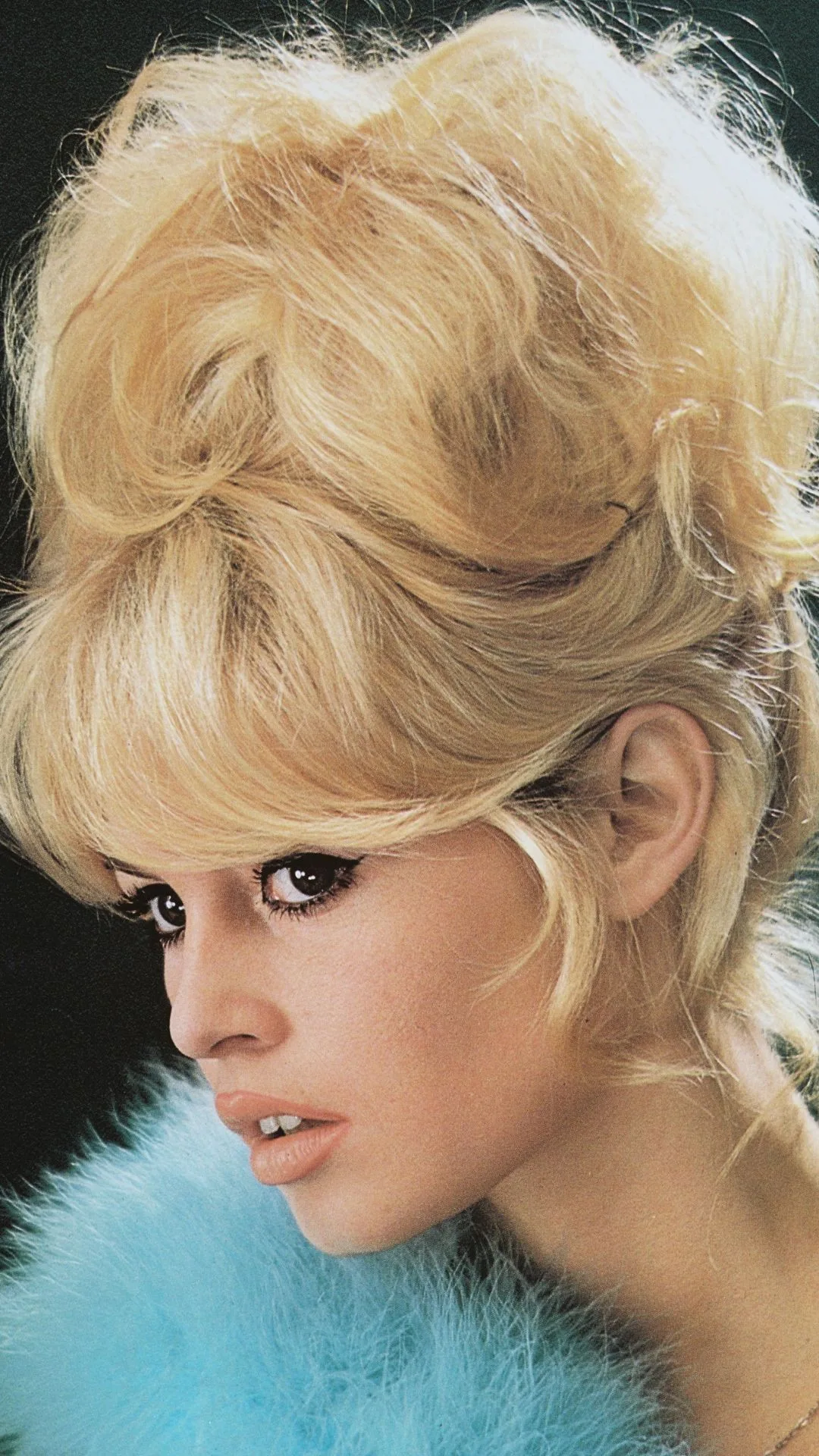 Voluminous Platinum Shag Bardot Updo Voluminous Platinum Shag Bardot Updo — Bardot Bangs 2027