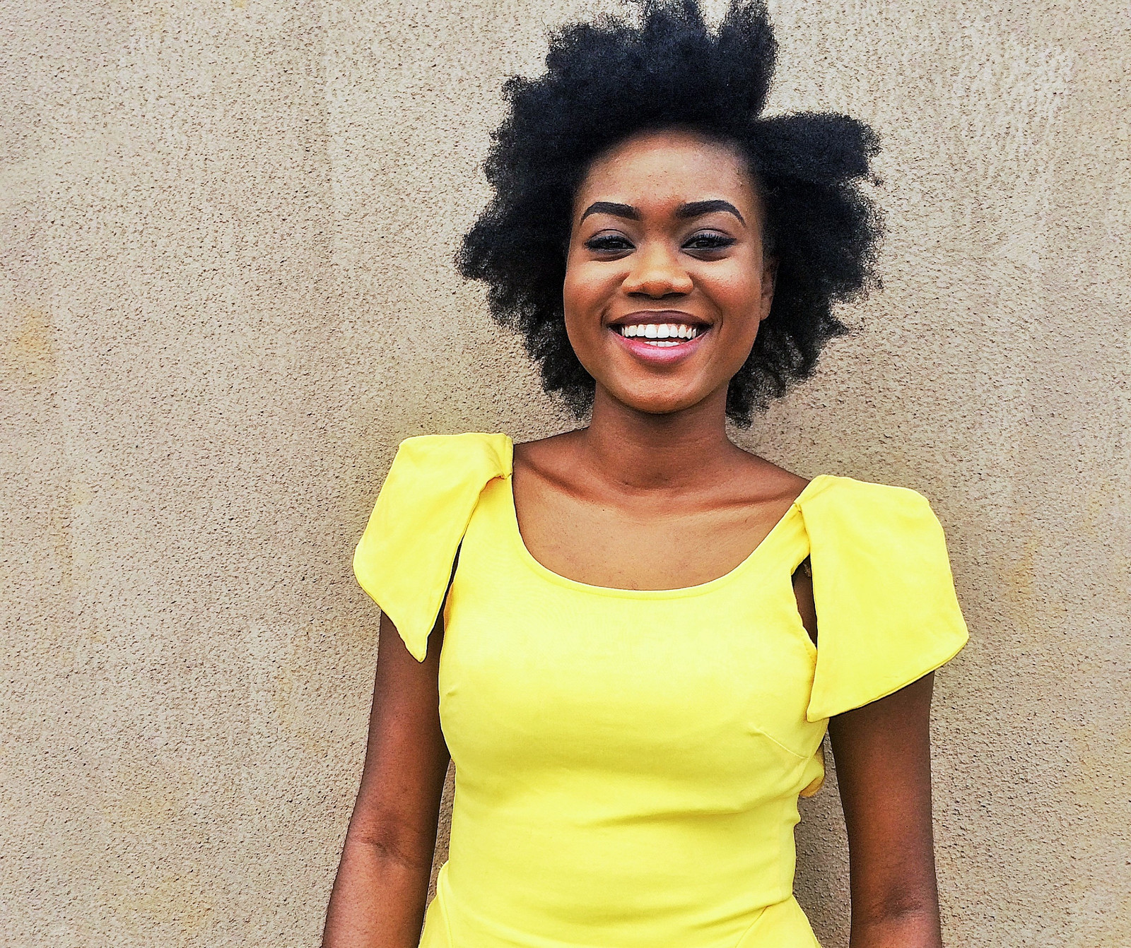 The Braided Front Puff The Braided Front Puff — Puff Natural Hairstyles 2027