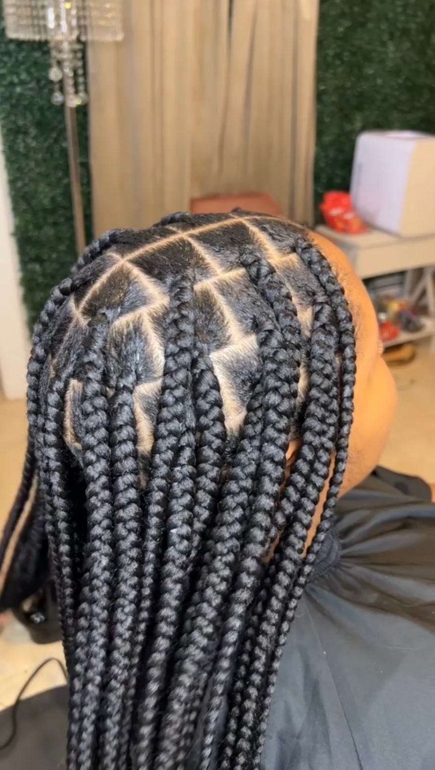 Neatly Parted Box Braids Neatly Parted Box Braids — Winter Box Braids 2027