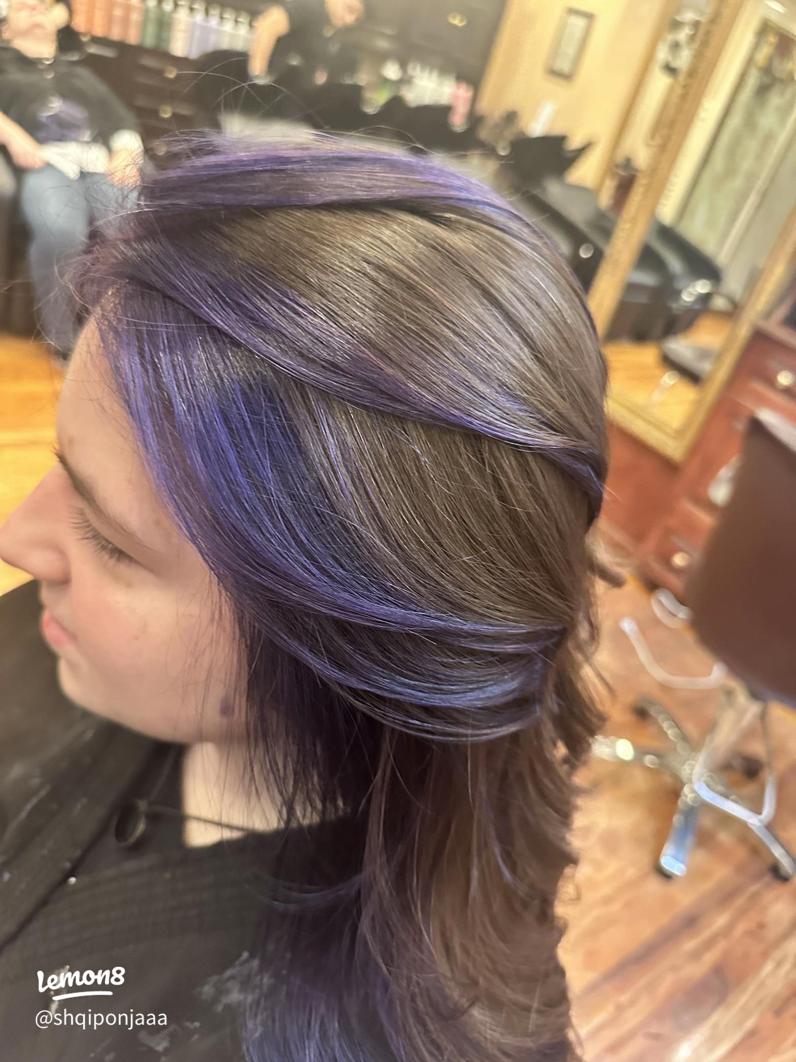 Plum Highlights On Dark Base Plum Highlights On Dark Base — Plum Hair 2027