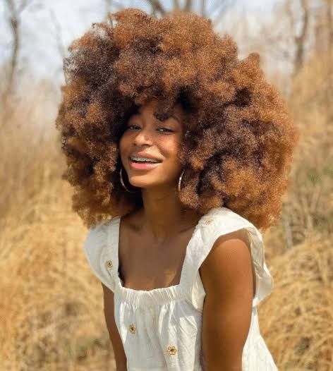 27 Really Gorgeous No-Heat Natural Hair Styles