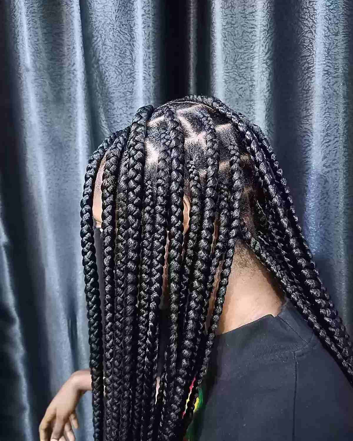 Braided Visual Idea Braided Visual Idea — Knotless Braids 2027 for Round Face