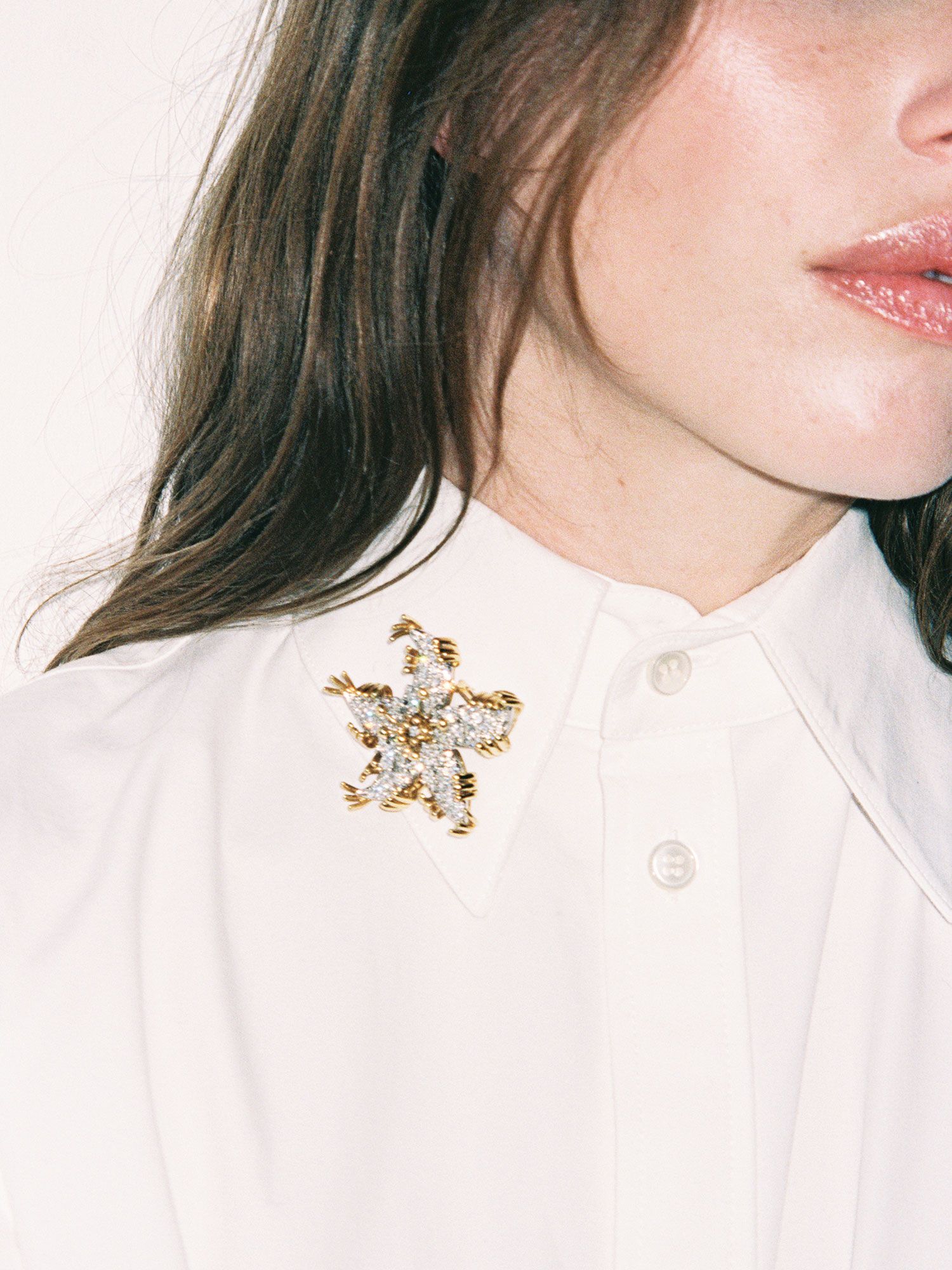Refined Simplicity: Starburst Brooch on a White Button-Down Shirt Refined Simplicity: Starburst Brooch on a White Button-Down Shirt — Brooch Outfits 2027