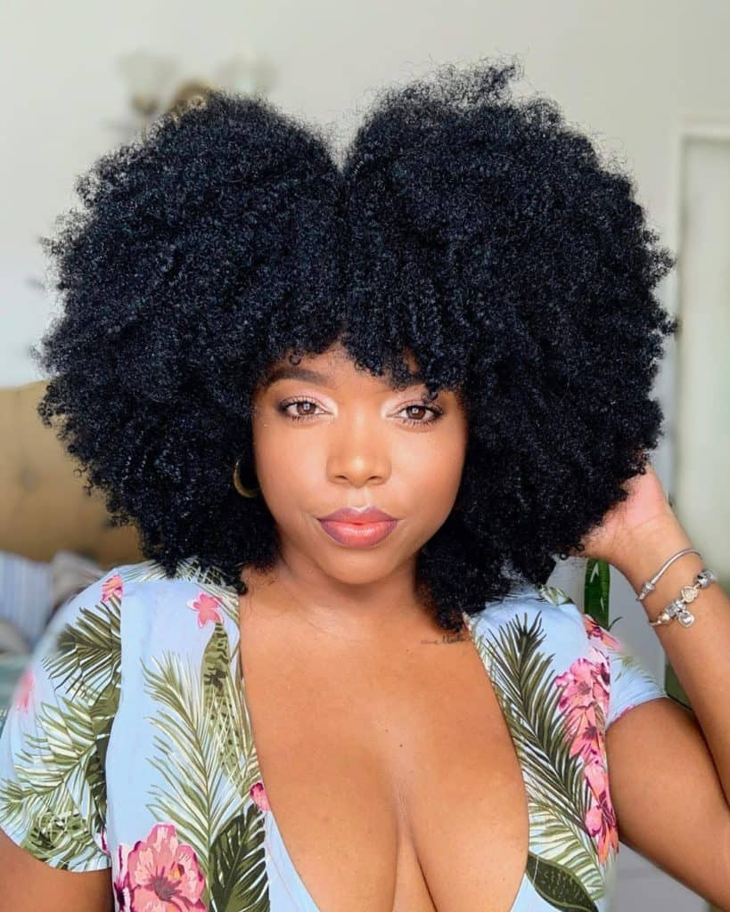 The Defined Curl Afro The Defined Curl Afro — Puff Hairstyles Natural Hair 2027