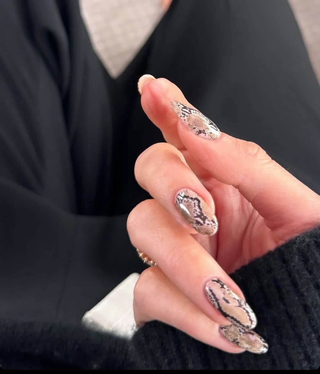 All-Over Snake Print Visual Idea All-Over Snake Print Visual Idea — Snake Print Nails 2027