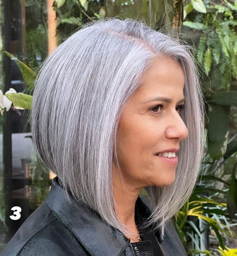 Chin Visual Idea Chin Visual Idea — Balayage on Gray Hair 2027