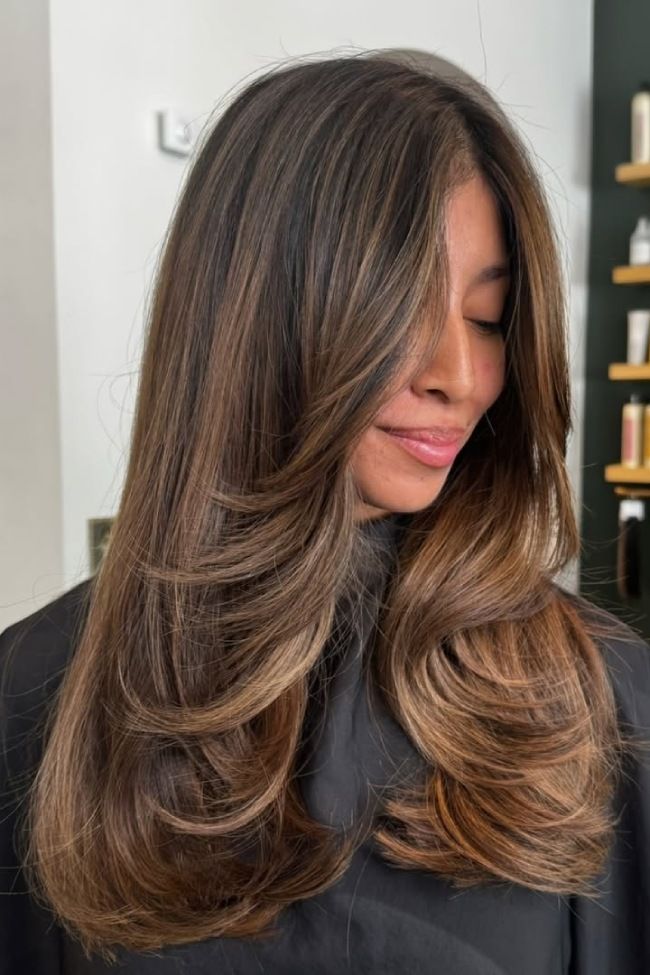 Beige Caramel Balayage On Collarbone Layers — Balayage on Dark Brown Hair 2027