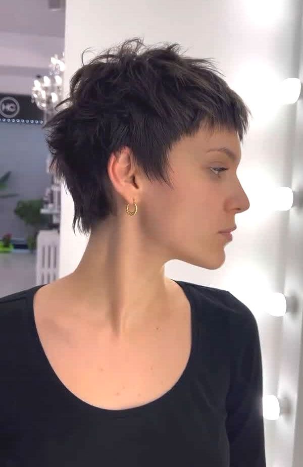 Dark Brown Pixie With Micro Fringe Dark Brown Pixie With Micro Fringe — Textured Pixie 2027