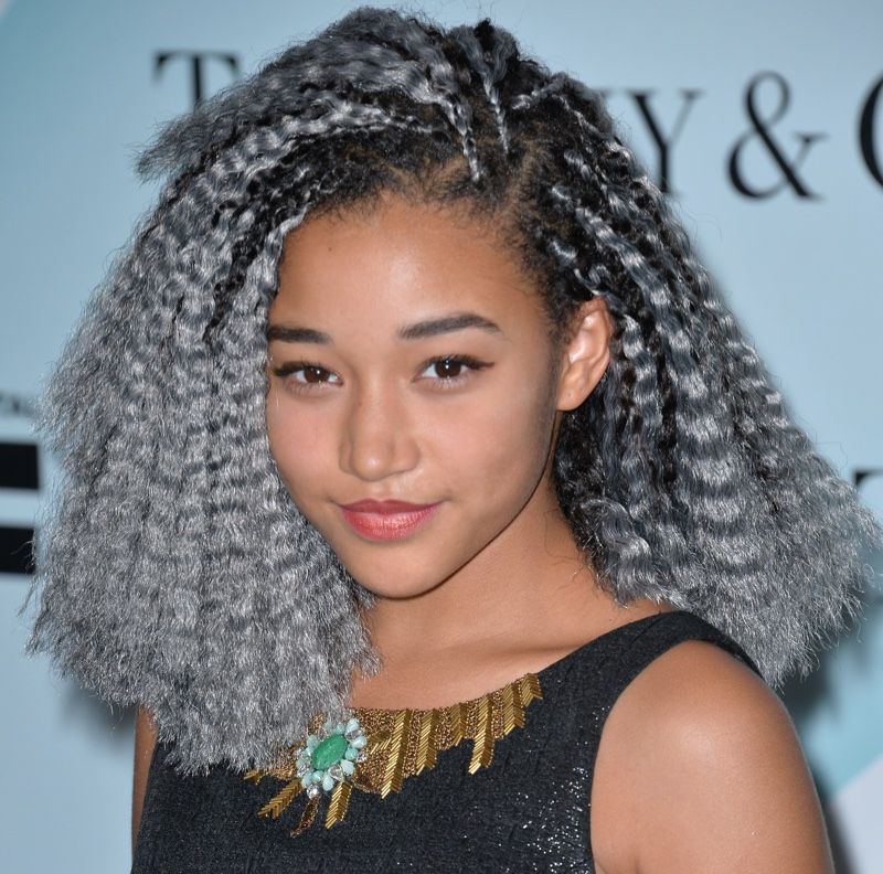 Striking Grey Crimped Braids — Crimped Hairstyles 2027