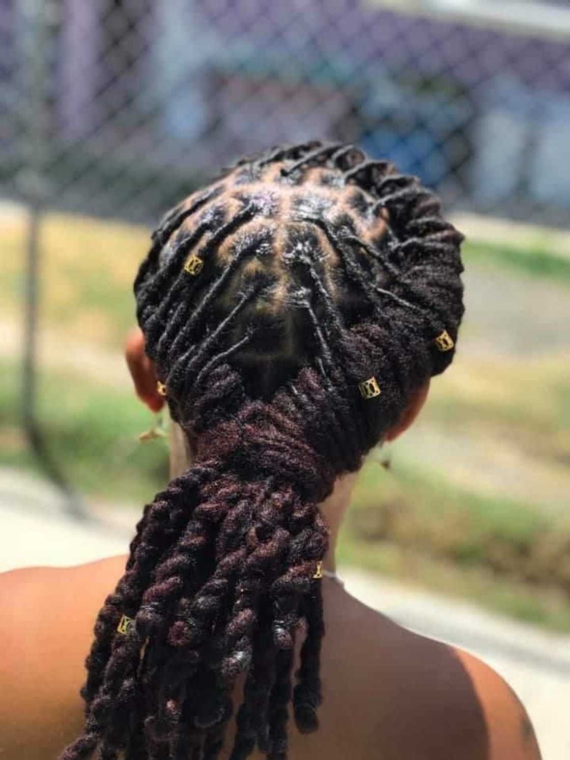 Coily Locs Ponytail with Deep Red Accents Coily Locs Ponytail with Deep Red Accents — Loc Styles 2027 for Women Over 50
