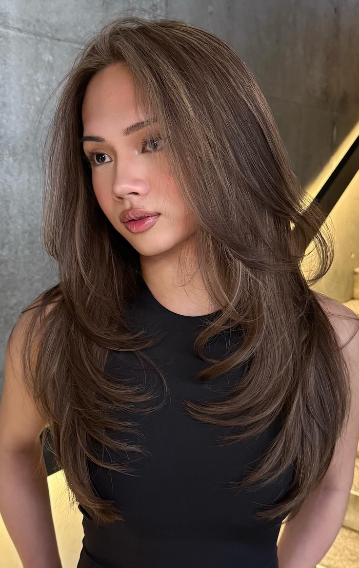 Dark Brown With Subtle Highlights Visual Idea Dark Brown With Subtle Highlights Visual Idea — Hairstyles 2027 for Heart Face