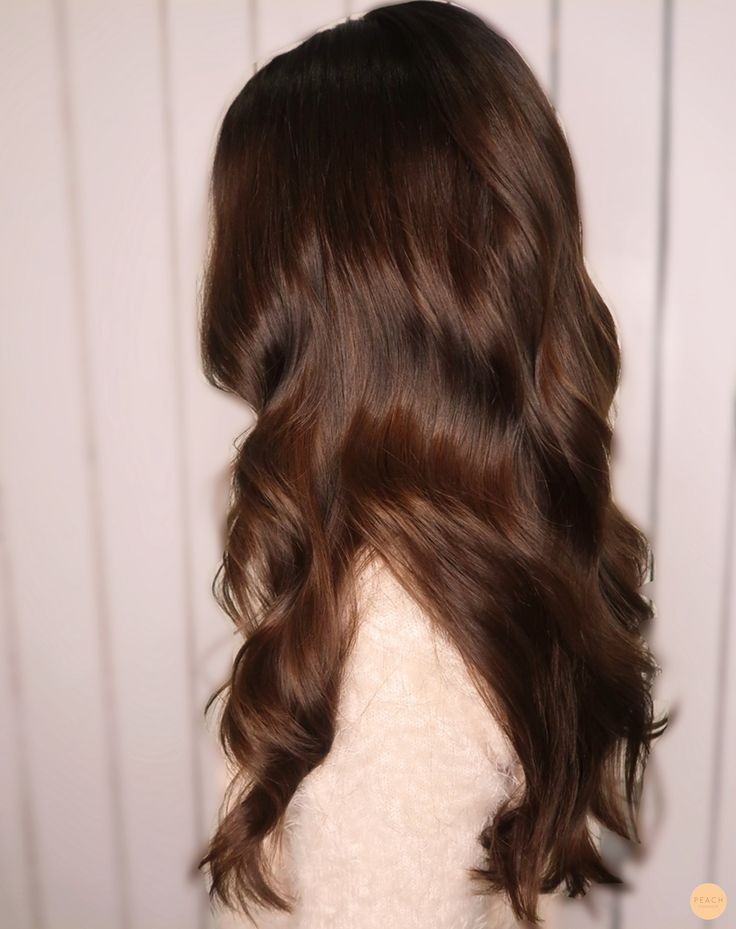 Visual Idea — Long Warm Brown Hair 2027