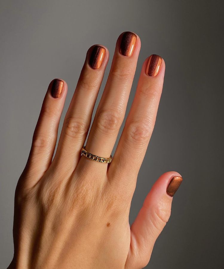 Nude Metallic Bronze French Tips Nude Metallic Bronze French Tips — Short Fall Nails 2026