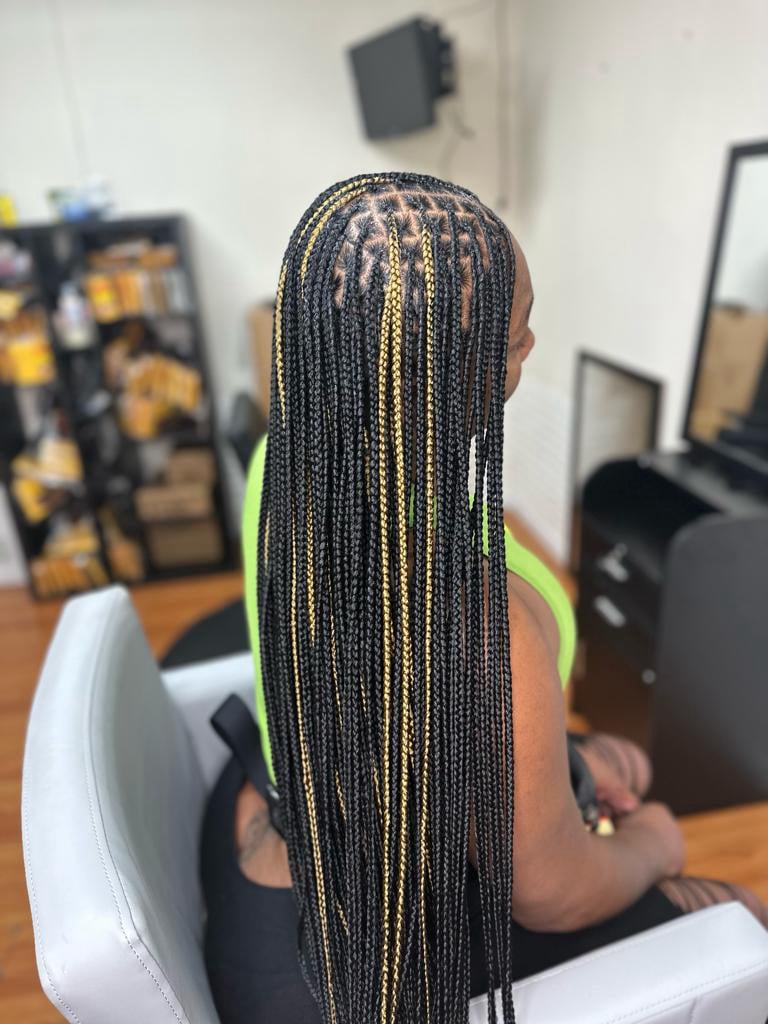 Side View Black Braids With Blonde Highlights — Long Knotless Braids 2027