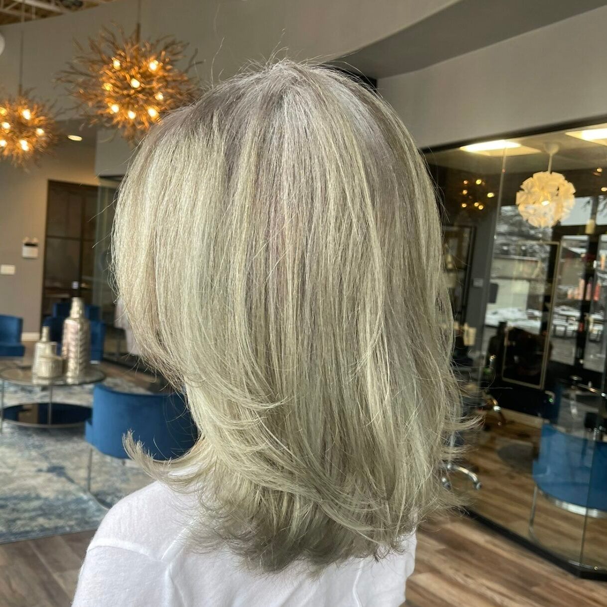 Collarbone Visual Idea — Transitioning to Gray Hair 2027