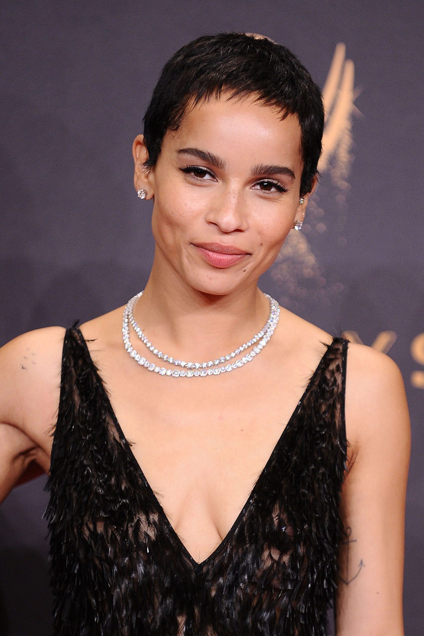 Classic Black Pixie With Textured Top Classic Black Pixie With Textured Top — Short Haircuts 2027