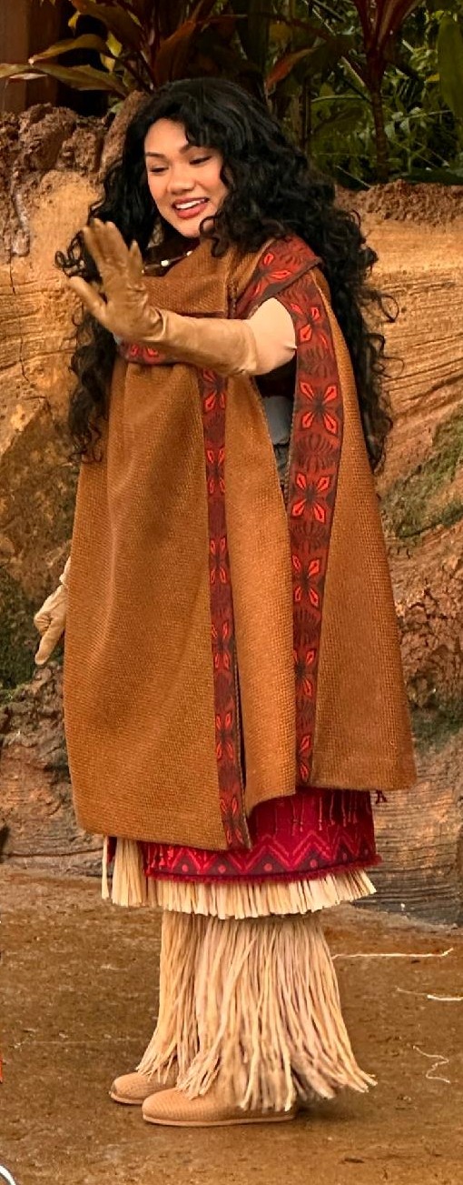 Textured Brown Cape Over Layered Skirts — Disney Winter Outfits 2027