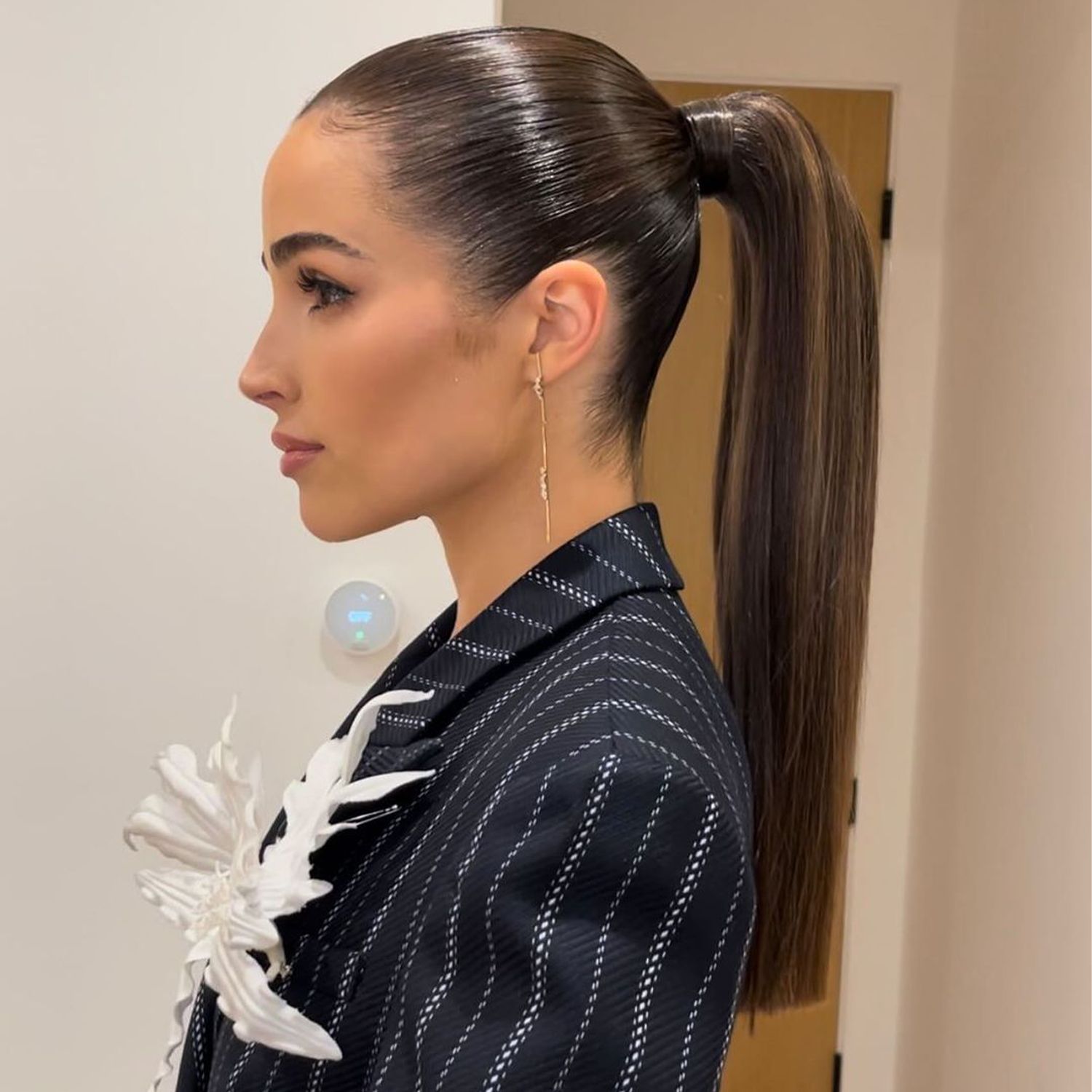 Visual Idea — Ponytail Hairstyles 2027 for Thin Hair