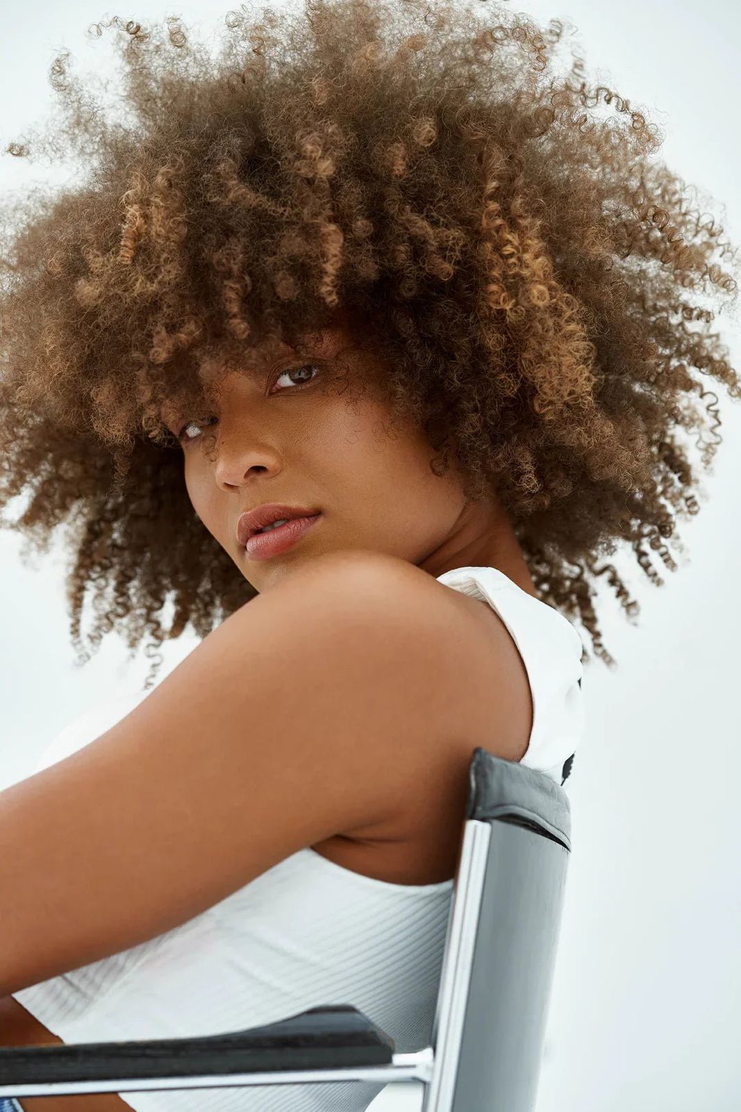 Brown With Blonde Highlights Visual Idea — Natural Hairstyles 2027 for 4B Hair