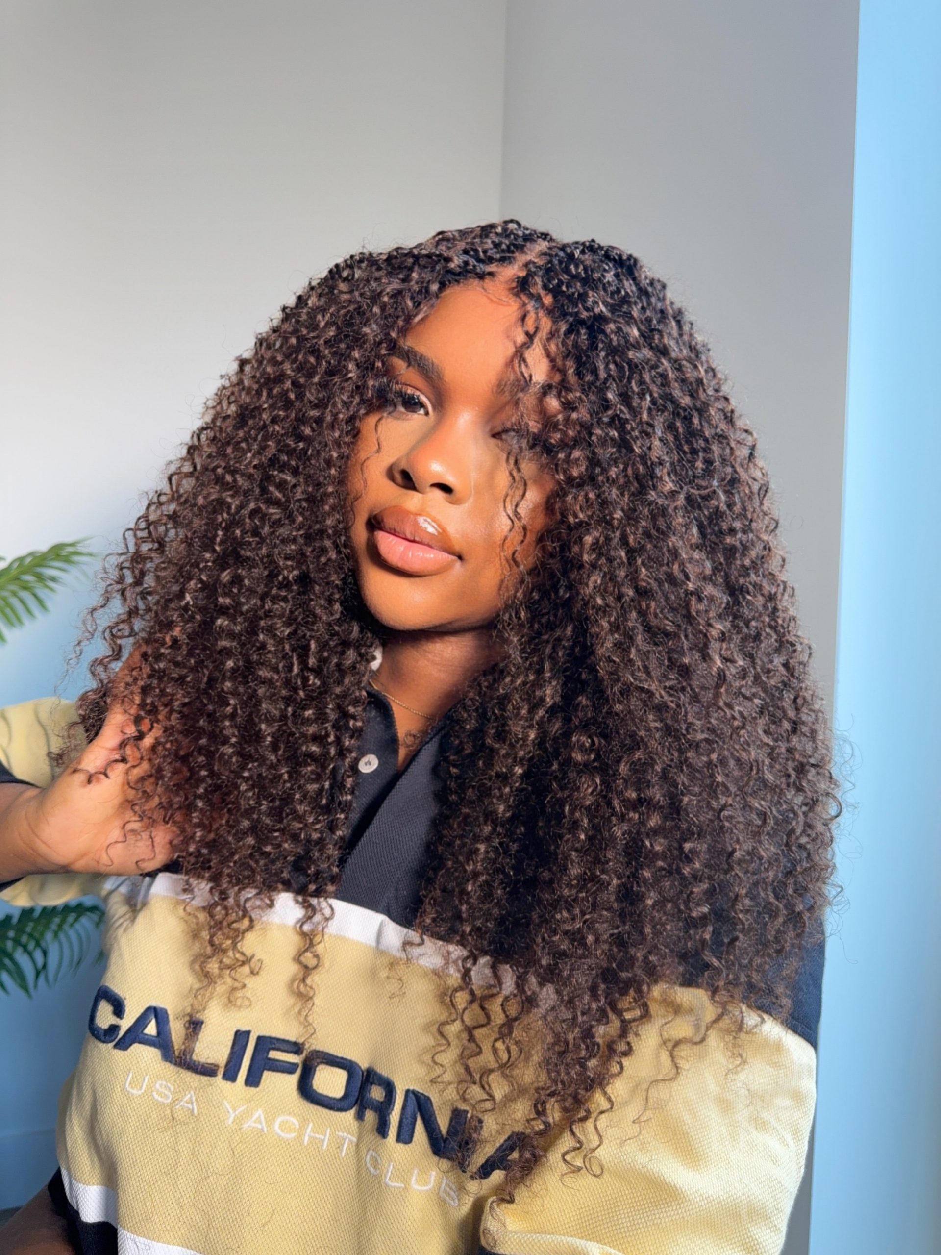 Thick Braids with Blonde and Grey Highlights Thick Braids with Blonde and Grey Highlights — Bora Bora Braids 2027