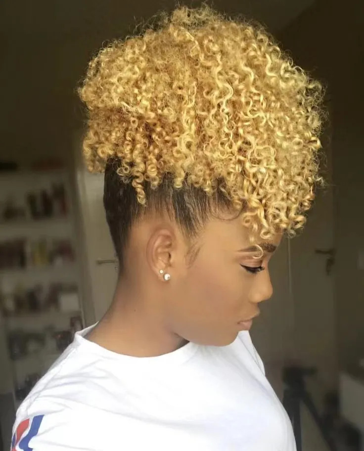 Visual Idea Visual Idea — Puff Natural Hairstyles 2027