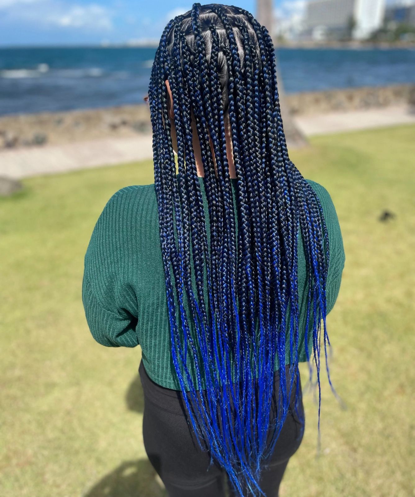 Box Braids Visual Idea — Beach Braids 2027