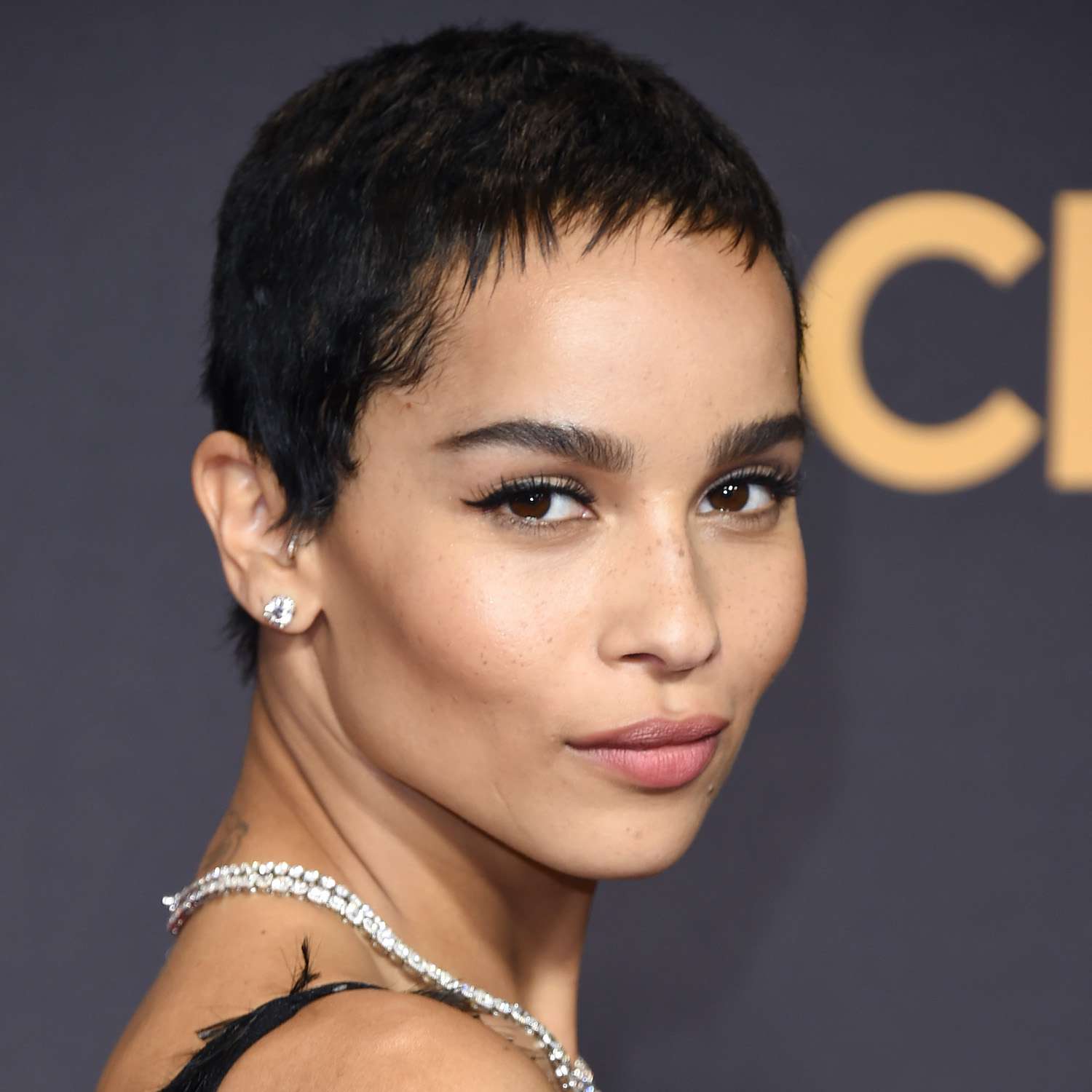 Black Pixie with Asymmetrical Bangs Black Pixie with Asymmetrical Bangs — Pixie 2027 with Bangs