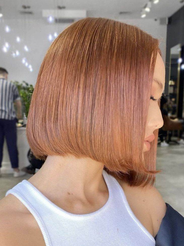 Chin Visual Idea Chin Visual Idea — Copper Hair 2027 for Asian Women