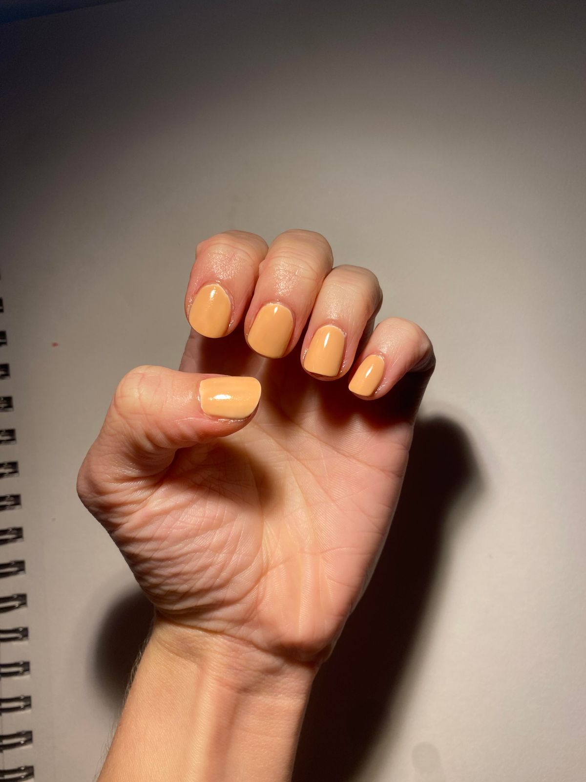 Light Warm Peach-Orange Visual Idea Light Warm Peach-Orange Visual Idea — Camel Nails 2027