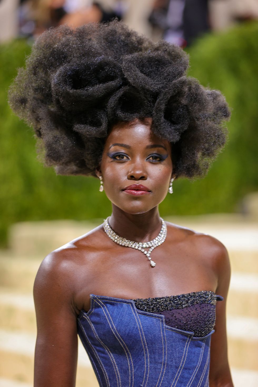 Natural Afro Visual Idea — Gala Hairstyles 2027