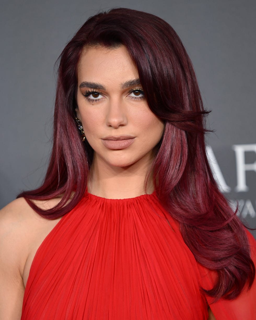 Deep Burgundy Visual Idea Deep Burgundy Visual Idea — Hair Color 2027 for Pale Skin