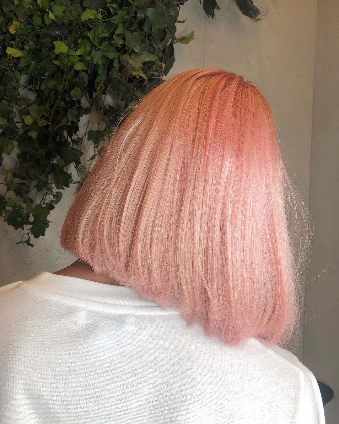 Blunt Collarbone Peach Blonde Bob Blunt Collarbone Peach Blonde Bob — Peach Blonde Hair 2027