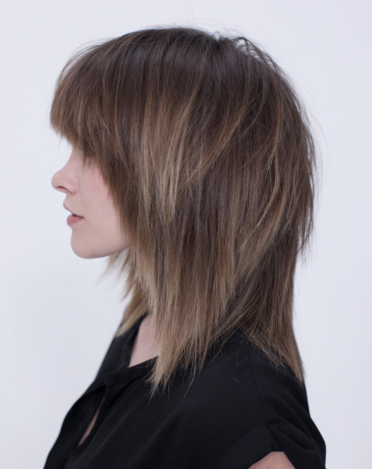 Dark Brown With Subtle Blonde Highlights Collarbone Shag With Choppy Layers — Evolved Shag 2027