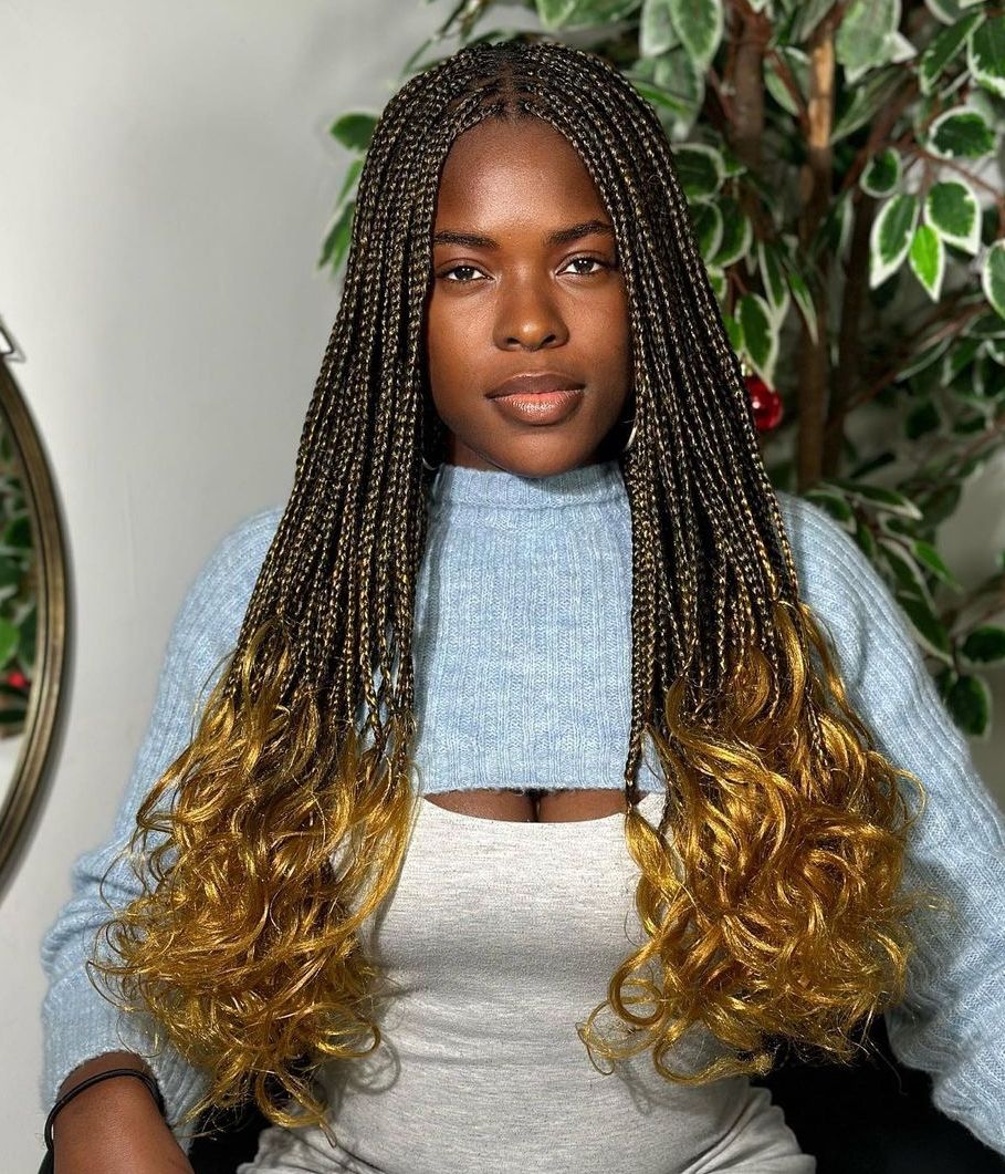 Middle Visual Idea — Winter Braid Colors 2027 for Black Women