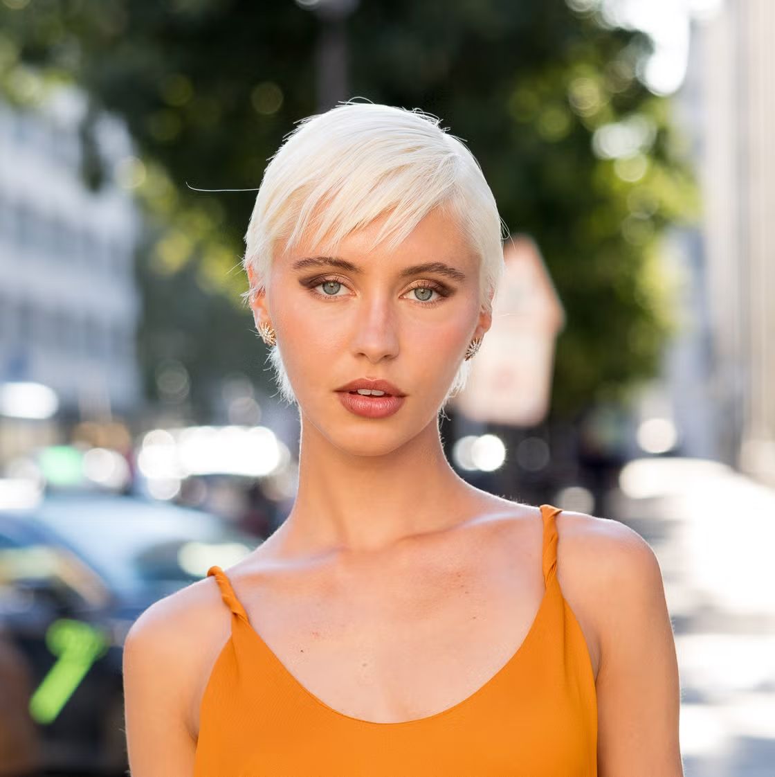 Platinum Blonde Visual Idea Platinum Blonde Visual Idea — Pixie Cut 2027 for Round Face