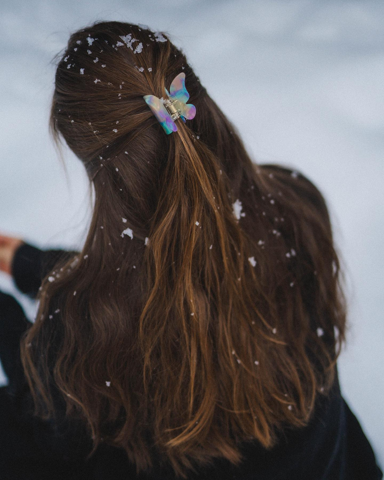 Visual Idea Visual Idea — Butterfly Hair Clip Hairstyles 2027