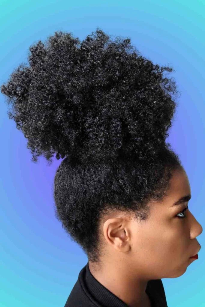 Visual Idea — Coily Black Hair Gathered At The Crown Visual Idea — Coily Black Hair Gathered At The Crown — Puff Natural Hairstyles 2027