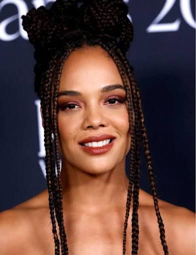 Dark Brown Braids High Bun with Highlights — Winter Braid Colors 2027 for Black Women