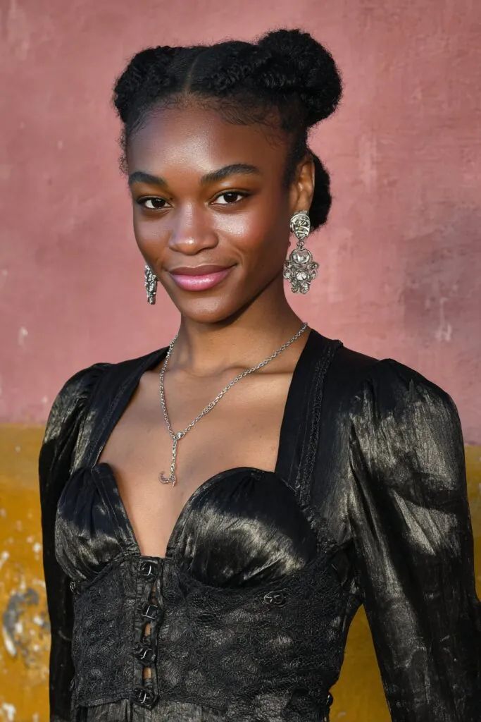 Dark Brown Braids with Blonde Highlights — Winter Braid Colors 2027 for Black Women