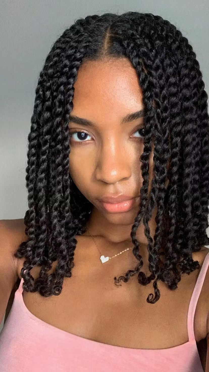 Visual Idea — And The Ends Show A Slight Curl — Winter Braid Colors 2027 for Black Women
