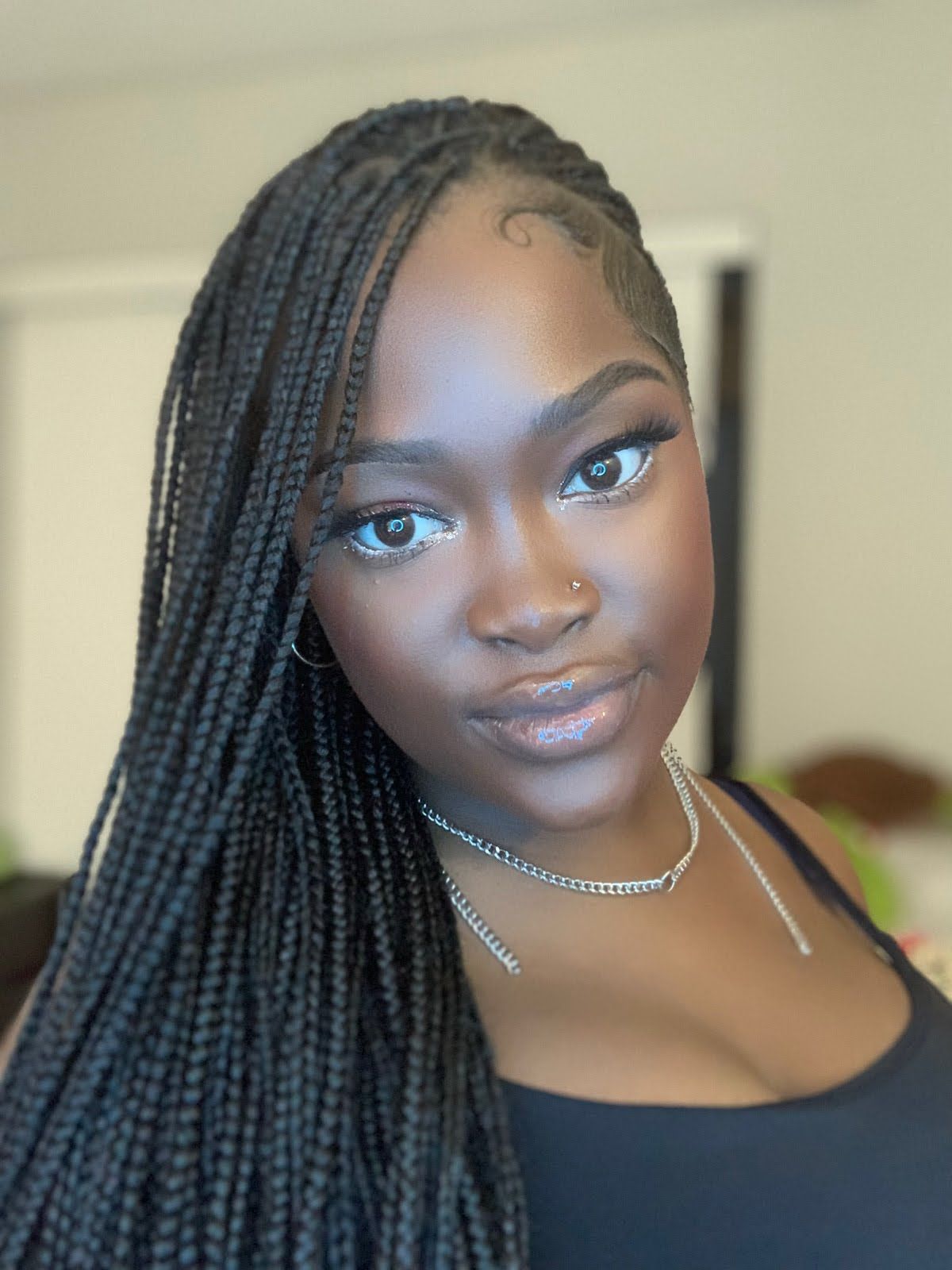 Visual Idea — The Shot Is A Close-Up Front View — Winter Braid Colors 2027 for Black Women