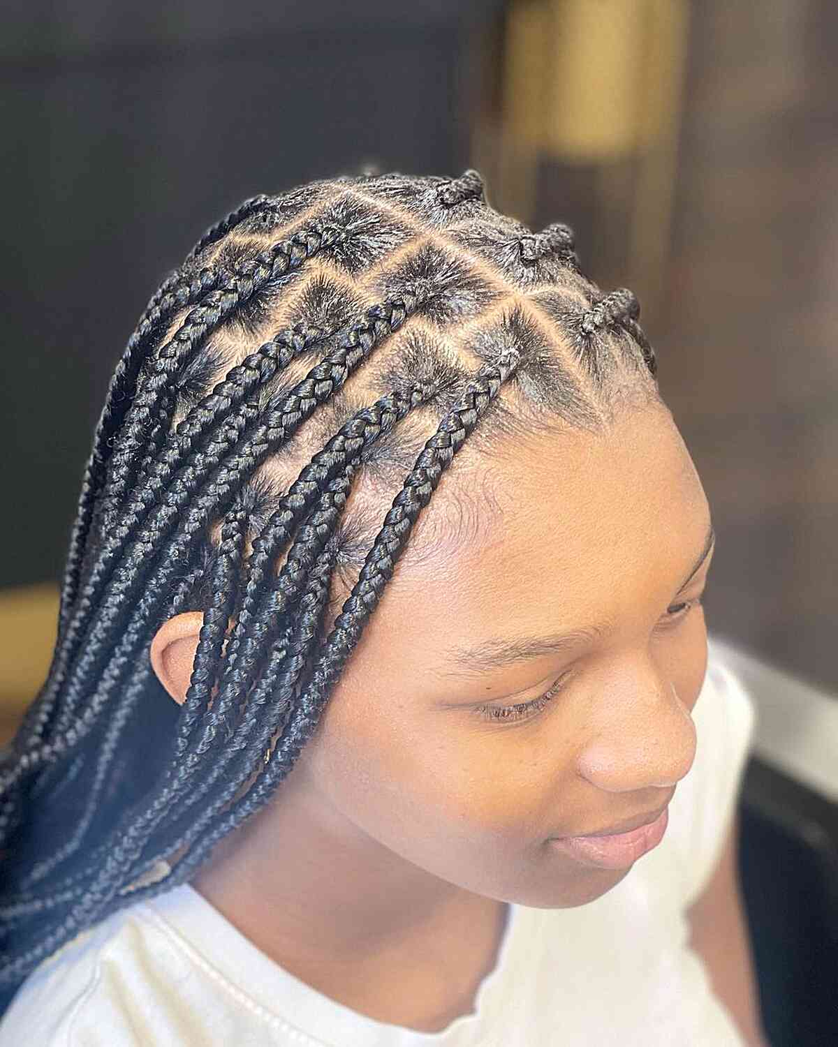 Long Black Knotless Braids Definition — Long Knotless Braids 2027
