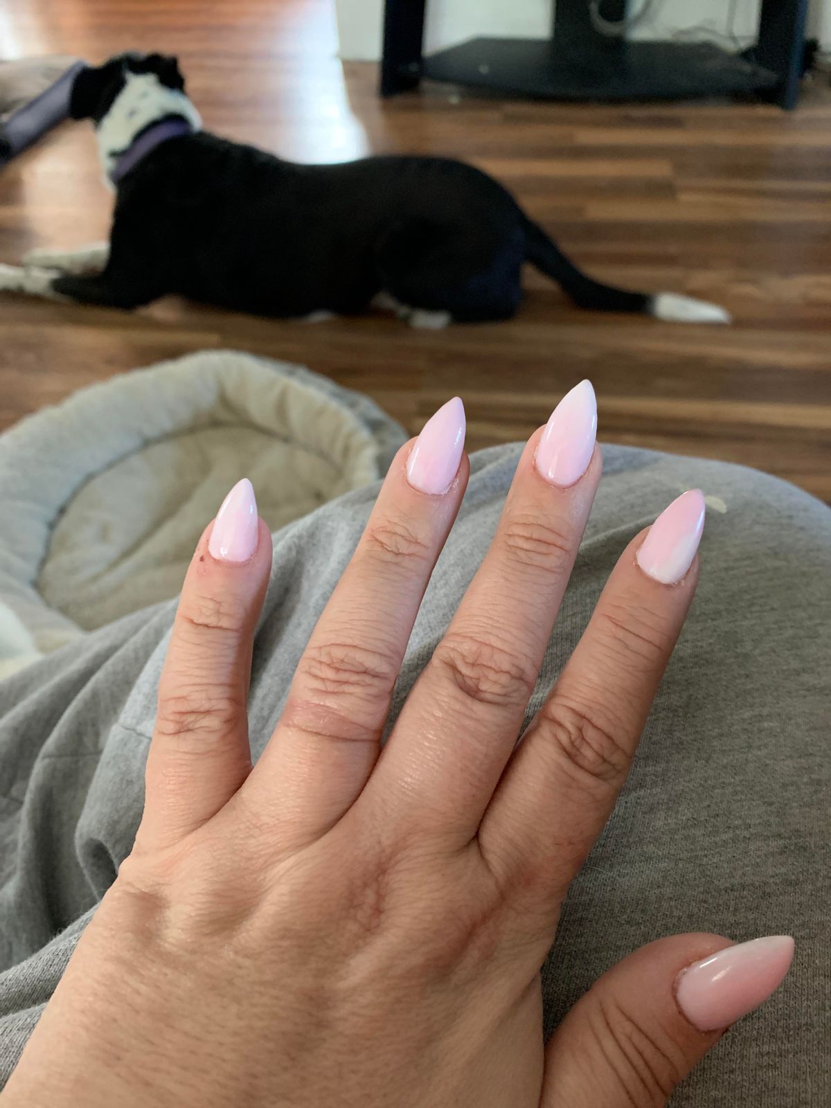 Everyday Visual Idea Everyday Visual Idea — Polygel Nails 2027