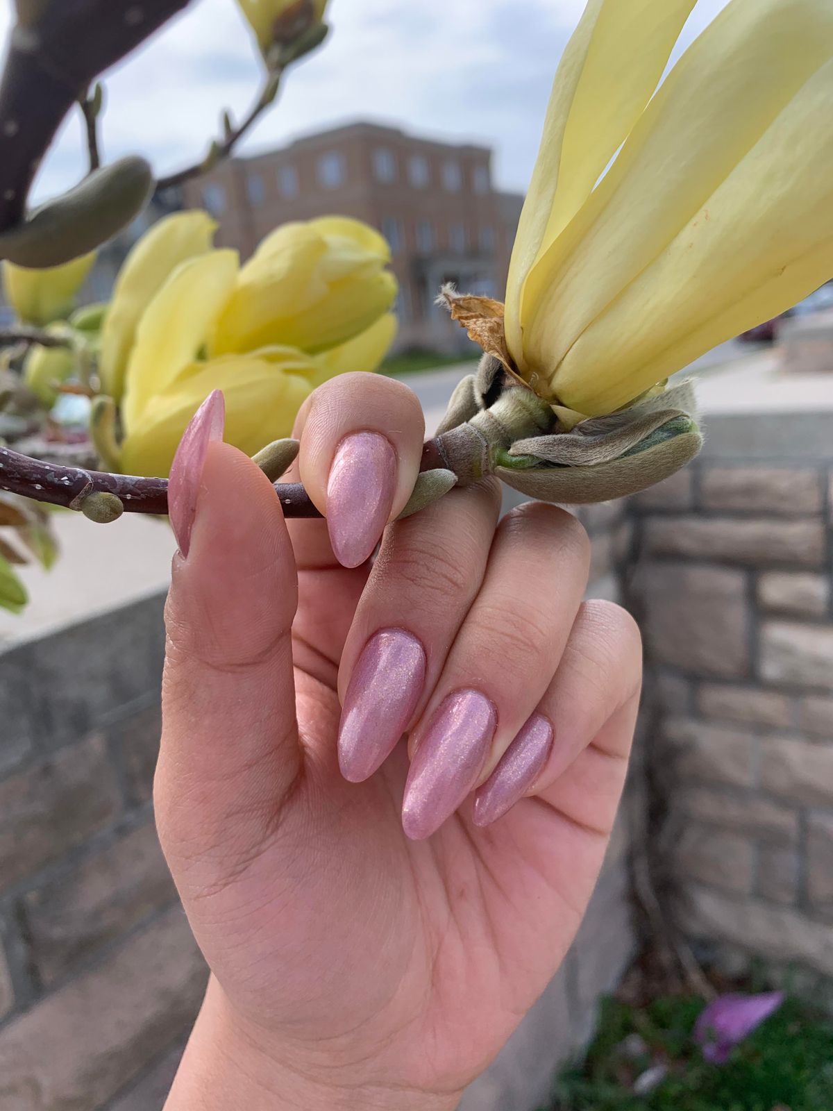 Shimmer Visual Idea Shimmer Visual Idea — Polygel Nails 2027